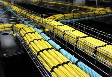 �M�оW(w��ng)�j(lu��)�����ă�(y��u)������Щ